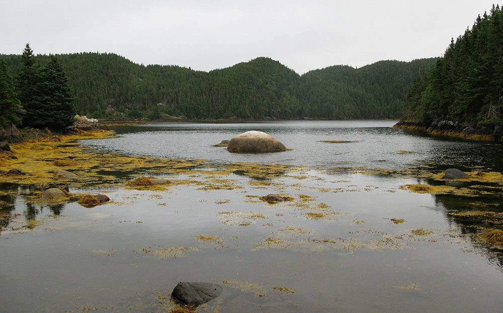 campview